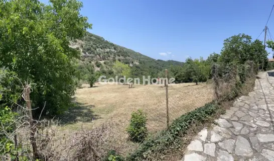 Residential 1535m<sup>2</sup> for sale photo 5