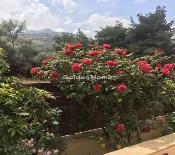 Μονοκατοικία 245τ.μ. προς πώληση φωτογραφία 25