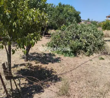 Οικιστικό 262τ.μ. προς πώληση φωτογραφία 2