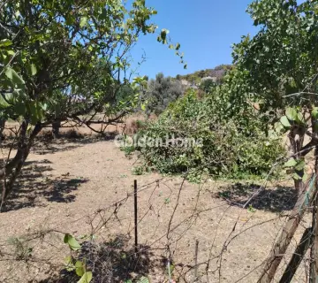 Οικιστικό 262τ.μ. προς πώληση φωτογραφία 3