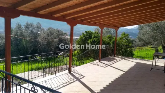 Golden Home Property Image