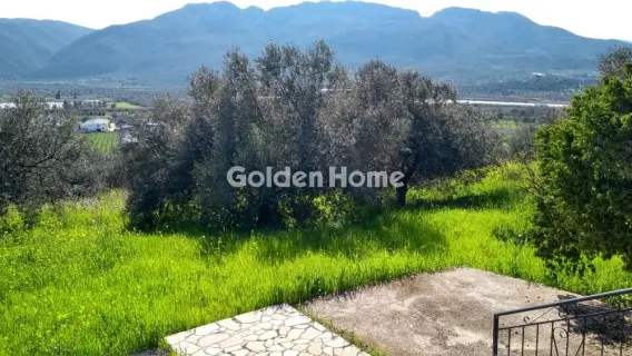 Golden Home Property Image