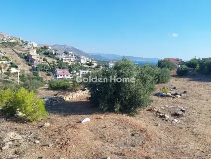 住宅 1021m<sup>2</sup> for sale photo 8