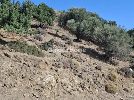 Residential 5270m<sup>2</sup> for sale photo 4961567