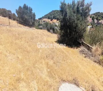 Οικιστικό 250τ.μ. προς πώληση φωτογραφία 4911772