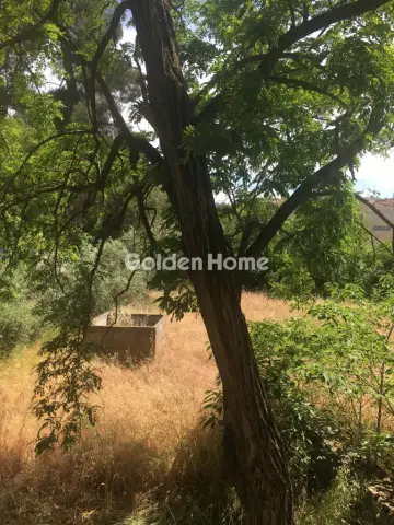 Professional Plot 1088m<sup>2</sup> for sale photo 4909295