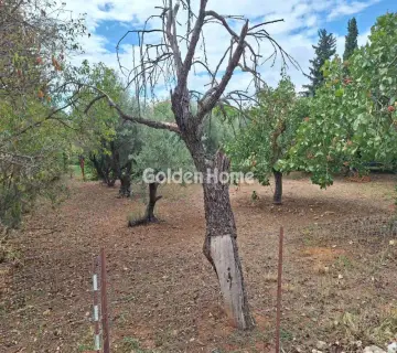 Residential 2647m<sup>2</sup> for sale photo 2