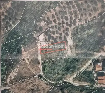 住宅 1000m<sup>2</sup> for sale photo 3