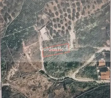住宅 1000m<sup>2</sup> for sale photo 4