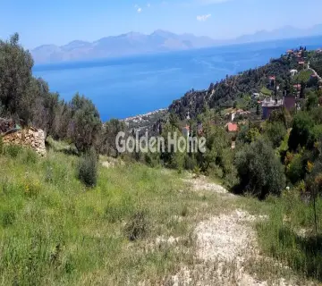 住宅 1000m<sup>2</sup> for sale photo 1