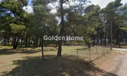 Αγροτεμάχιο 669τ.μ. προς πώληση φωτογραφία 4919175