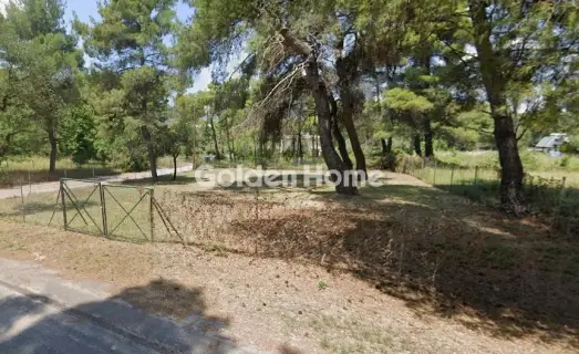 Αγροτεμάχιο 669τ.μ. προς πώληση φωτογραφία 4919175
