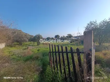 Οικιστικό 2949τ.μ. προς πώληση φωτογραφία 5315820