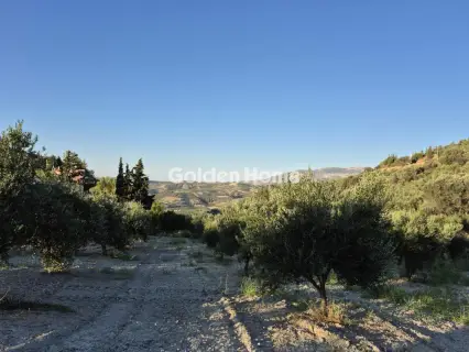 Residential 3850m<sup>2</sup> for sale photo 18