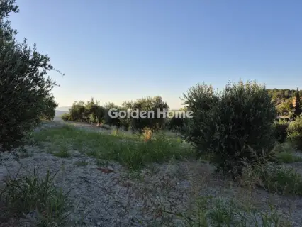 Residential 3850m<sup>2</sup> for sale photo 21