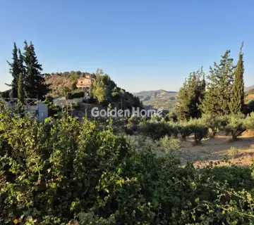 Golden Home Property Image