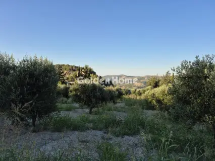 Residential 3850m<sup>2</sup> for sale photo 25