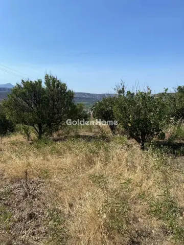 Residential 525m<sup>2</sup> for sale photo 4930748