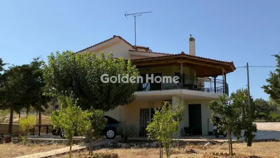 Μονοκατοικία 146τ.μ. προς πώληση φωτογραφία 4
