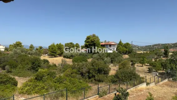 Μονοκατοικία 146τ.μ. προς πώληση φωτογραφία 31