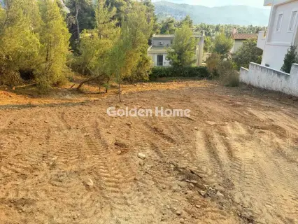 住宅 806m<sup>2</sup> for sale photo 5447801