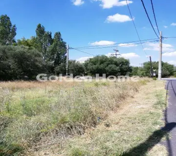 Golden Home Property Image