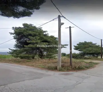 Αγροτεμάχιο 1802τ.μ. προς πώληση φωτογραφία 4938711