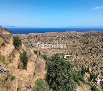 Parcel 8000m<sup>2</sup> for sale photo 2
