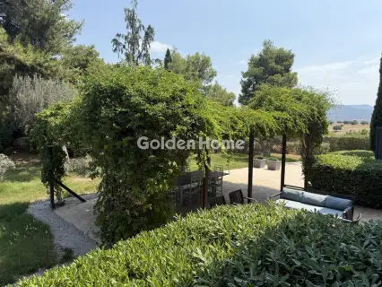 House 525m<sup>2</sup> for sale photo 93