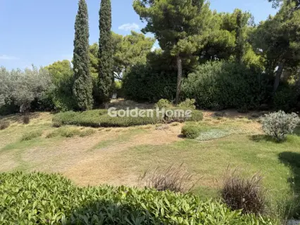 House 525m<sup>2</sup> for sale photo 96