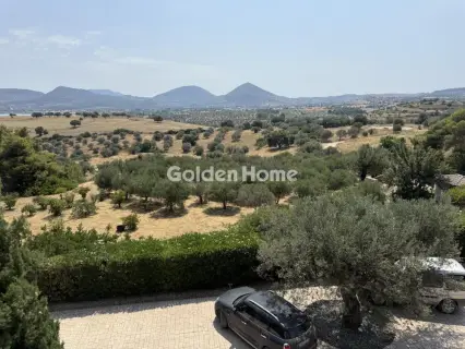 House 525m<sup>2</sup> for sale photo 131