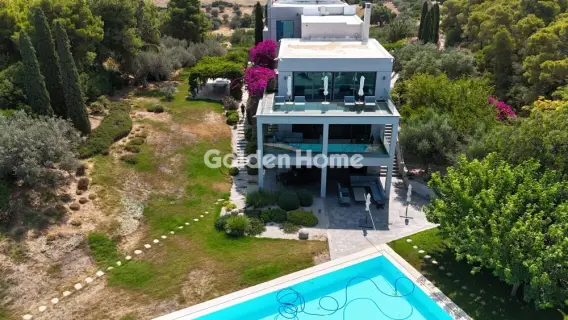 House 525m<sup>2</sup> for sale photo 144