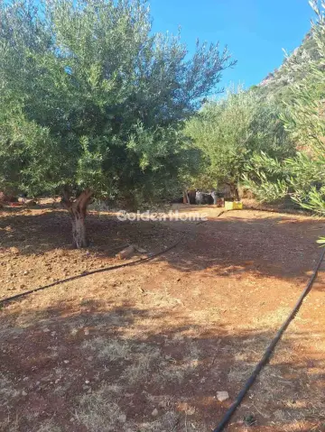 Residential 4500m<sup>2</sup> for sale photo 7