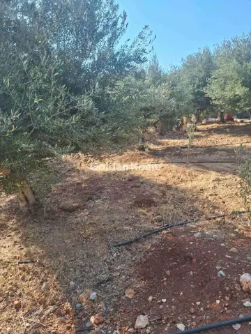 Residential 4500m<sup>2</sup> for sale photo 4