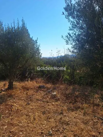 Residential 4500m<sup>2</sup> for sale photo 5