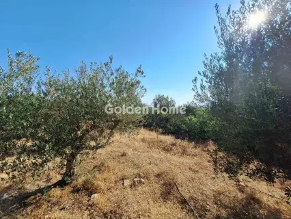 Residential 4500m<sup>2</sup> for sale photo 6
