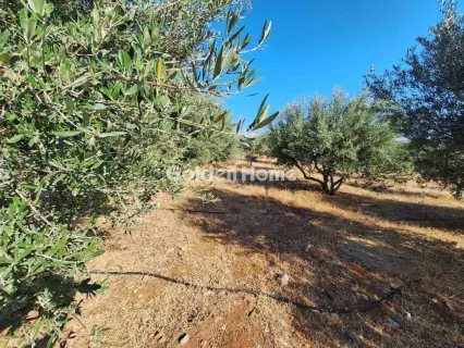 Residential 4500m<sup>2</sup> for sale photo 8