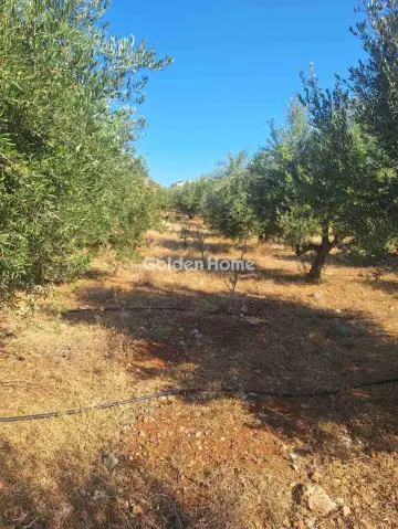 Residential 4500m<sup>2</sup> for sale photo 9