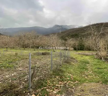Residential 368m<sup>2</sup> for sale photo 2