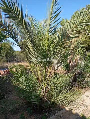 Μονοκατοικία 70τ.μ. προς πώληση φωτογραφία 2