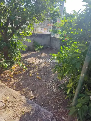 Μονοκατοικία 60τ.μ. προς πώληση φωτογραφία 3