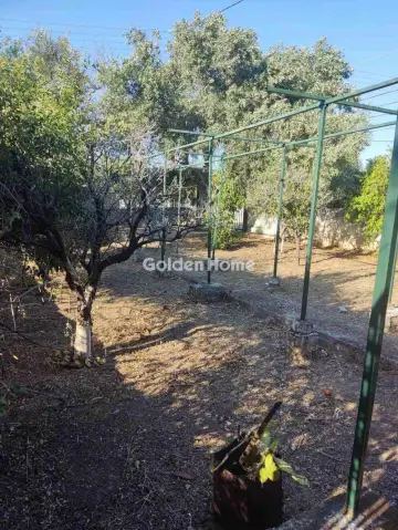 Μονοκατοικία 60τ.μ. προς πώληση φωτογραφία 2