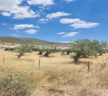 Professional Plot 9000m<sup>2</sup> for sale photo 4928651