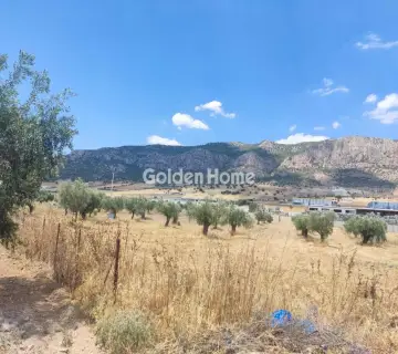 Professional Plot 9000m<sup>2</sup> for sale photo 4928653