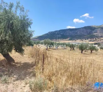 Professional Plot 9000m<sup>2</sup> for sale photo 4928655