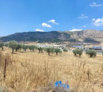 Professional Plot 9000m<sup>2</sup> for sale photo 4928655