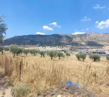 Professional Plot 9000m<sup>2</sup> for sale photo 4928656