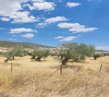 Professional Plot 9000m<sup>2</sup> for sale photo 4928658