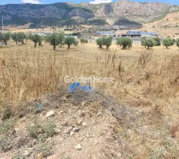 Professional Plot 9000m<sup>2</sup> for sale photo 4928659
