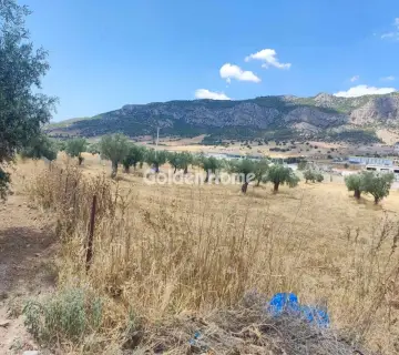 Professional Plot 9000m<sup>2</sup> for sale photo 4928660